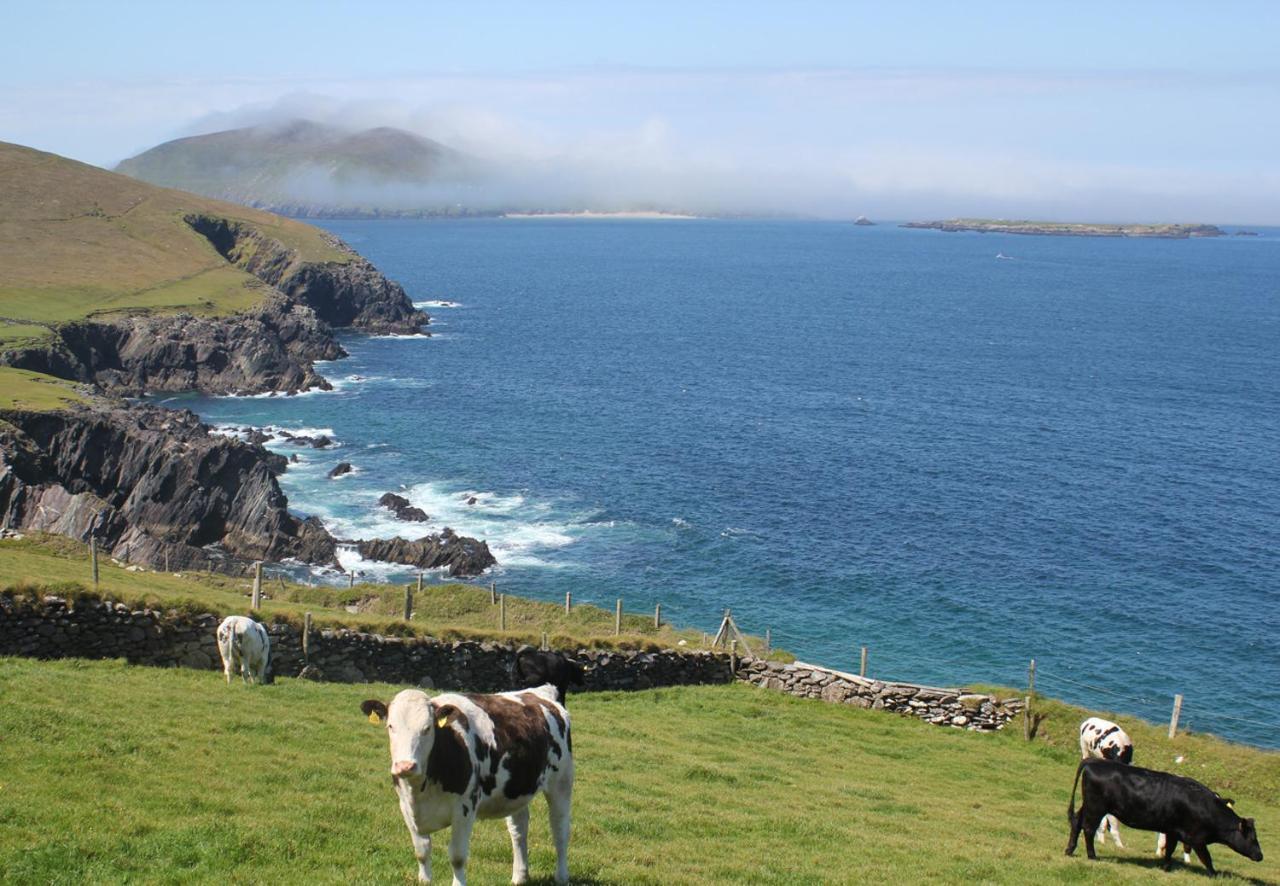 Dingle Harbour Cottages 3 Bed Sleeps 7 By Trident Holiday Homes 외부 사진